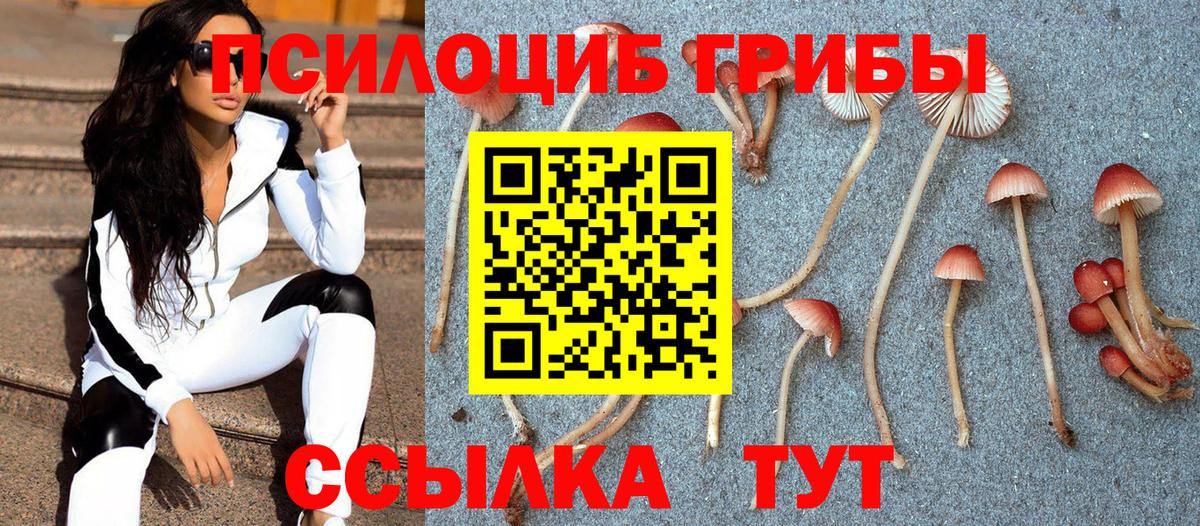Псилоцибиновые грибы MAGIC MUSHROOMS Курчатов