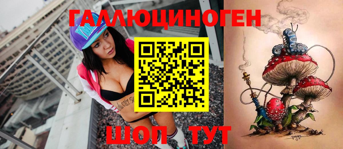 Курчатов  Галлюциногенные грибы Psilocybine cubensis  Вход с VPN 